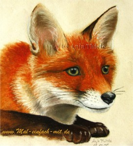 Fuchs Pastellkreide Zeichnung